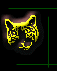 Cat head