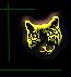 Cat head